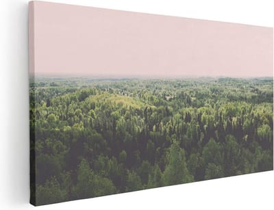 Artaza Canvas Schilderij Bos - 40x20 cm - Klein - Wanddecoratie Natuur - Muurdecoratie Landschap - Schilderijen Op Canvas Groen