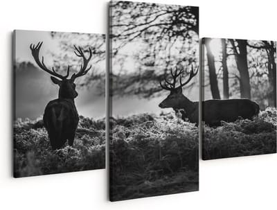 Artaza Canvas Schilderij Drieluik Twee Herten tijdens de Zonsondergang - Zwart Wit - 150x120 - Groot - Foto Op Canvas - Canvas Print