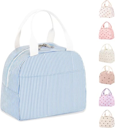 Lunchtas voor dames, houdt eten warm of koud, geschikt voor een lunch, handtas voor volwassenen en kinderen, klein en draagbaar, ideaal voor meisjes, schattig en praktisch