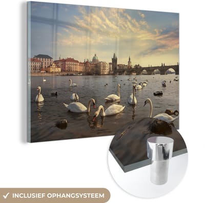 ® Glasschilderij 180x120 cm - Schilderij acrylglas - Het stadszicht van Praag met een aantal zwanen in de Moldau - Foto op glas - Muurdecoratie woonkamer - Wanddecoratie slaapkamer - Schilderijen