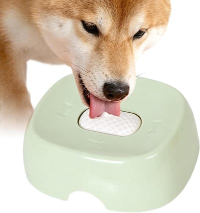 Hondenlikbak - Interactieve voerbak - Langzaam eten - Antislip bodem - 18.5 x 16.5 x 6.5 cm - Groen