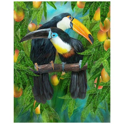 5D DIY diamant schilderij dier twee papegaaien volledige ronde diamant geborduurd kruissteek 20X30CM black