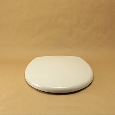 Witte Thermo-Isolerende Toiletbril met Roestvrijstalen Scharnieren - Normaal of Soft-Close