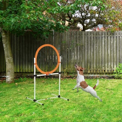 HAUSS SPOLE Springring – 2-In-1 Trainingshindernis – 74,5 x 66 x 91 cm – Kunststof – Geel – Draagbaar Voor Agilitytraining