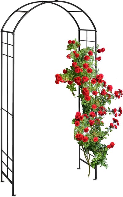Tozenboog - metaal - 224 x 110 x 41 cm - tuinboog - zwart