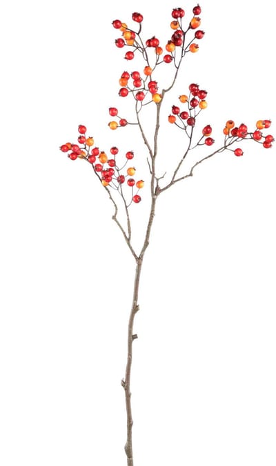 PTMD Berry Kunstplant - 48x26x80 cm - PE - Rood
