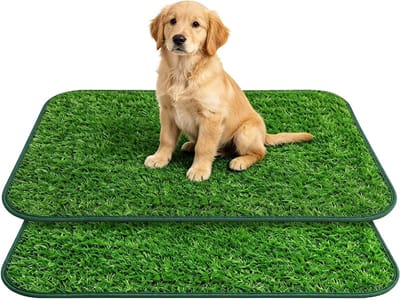 Hondentoilet van kunstgras voor balkon, 2 stuks, herbruikbare trainingsmat voor puppy's en volwassen honden, ideaal voor binnen en buiten gebruik