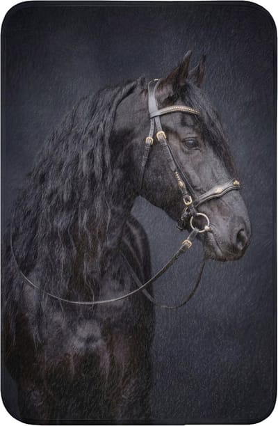 WC mat 40x60 cm - Antislip - Portret - Paard - Donker - Toiletmat - Vloermat - Douchemat - Toilet tapijt - Toiletmatten