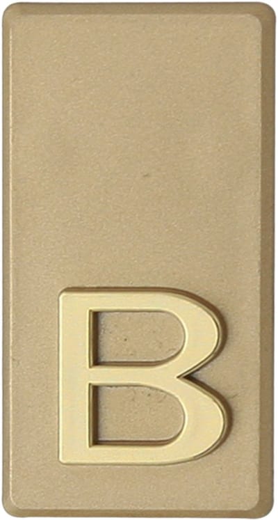 Domino® Deurnummer Letter Zelfklevend INV - "B" - Goud - Woonhuisnummer Hotelkamernummer 40x47mm - Huisnummer Brievenbus Adresnummer Stickers - Huisnummerplaatje - Deur en Kamernummer - Lockernummer