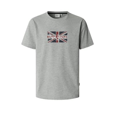 Pepe Jeans Grant T-shirt Met Korte Mouwen Grijs XL Man