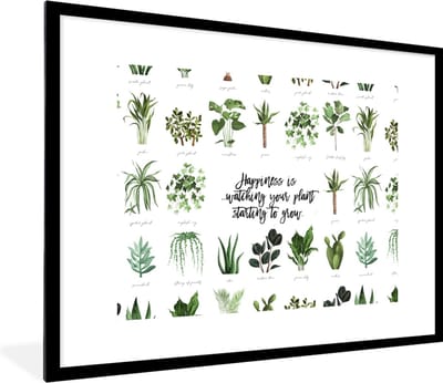 Fotolijst incl. Poster - Quotes - Happiness is... watching your plant starting to grow - Spreuken - Planten - 80x60 cm - Posterlijst
