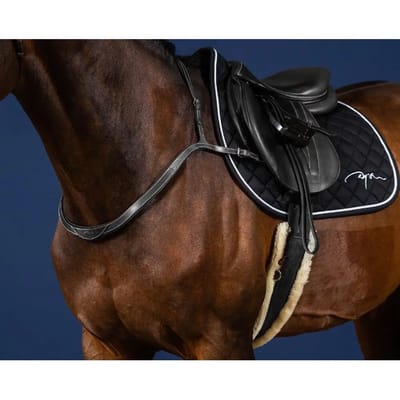 Jachthalsbanden en martingales voor paarden Dy'on