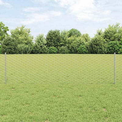 vidaXL zeshoekig gaasgek met palen 10 x 0,6 m Gegalvaniseerd staal