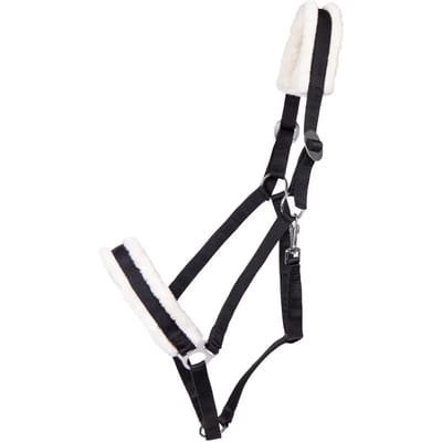 Halster voor trekpaard Q-essentials Cali