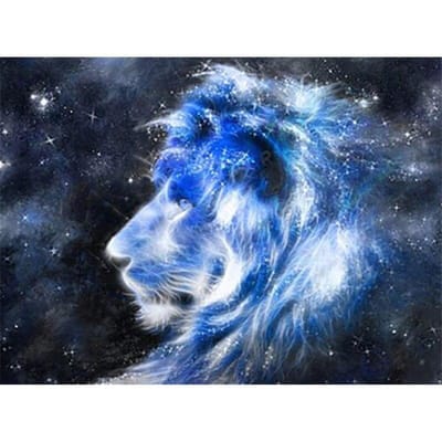 5D DIY Diamond schilderij  Sterrenhemel leeuw  Diamond 5d borduren Cross Stitch Home Decor cadeau 20X30CM red