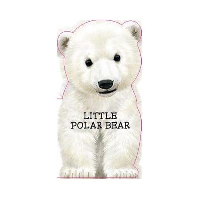 Little Polar Bear - Laura Rigo
