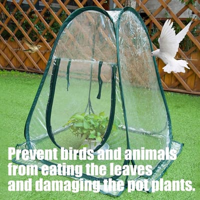 Opvouwbare Plant Kas - Kweekkas Beschermhoes - Planten Beschermen - Verstelbare Luchtstroom - 45 x 38 x 8 cm - Transparant