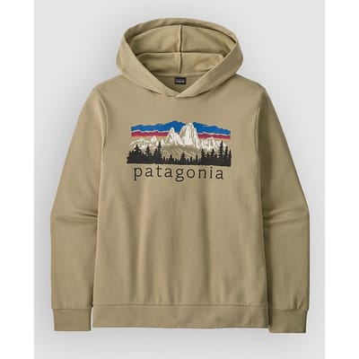 Patagonia Fitz Roy Foothills Daily Hoodie grijs