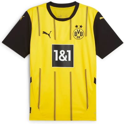 Voetbalshirt Borussia Dortmund 2024/25