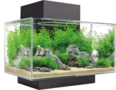 Fluval Edge I 2.0 aquarium Zwart - 23L
