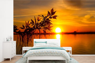 Behang - Fotobehang Zonsondergang - Water - Planten - Oranje - Breedte 600 cm x hoogte 400 cm