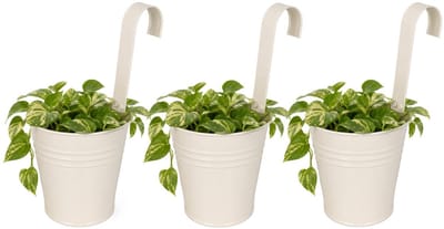 Progarden Bloempotje met haak - 3x - plantenbak zink met ophanghaak - wit - 20 x 13 x 26 cm - ophangbaar - Balkon/schutting plantenpot