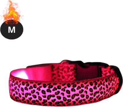 Bovista Lichtgevende Halsband - Verlichte Halsband - Lichtgevend - Hond - Kat - Lampje - Hondenhalsband Led - Oplaadbaar - Panter - Roze - M