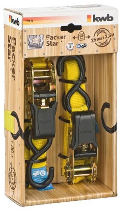 Sjorbanden met Ratels en Haken - 2,5 x 25 mm - Pack van 2