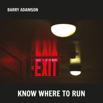 Barry Adamson - Know Where To Run (LP)