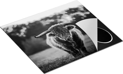 Chefcare Inductie Beschermer Schotse Hooglander in het Veld bij Zonsondergang - Zwart Wit - 60x50 cm - Afdekplaat Inductie - Kookplaat Beschermer - Inductie Mat