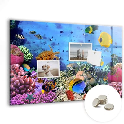 Coloray Glazen Magneetbord - Magnetisch Bord Onderwaterleven - 60x40 cm - Veelkleurig Magneetbord - Magnetic Board - Wanddecoratie