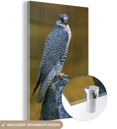 ® Glasschilderij 120x180 cm - Schilderij acrylglas - Valk - Steen - Dieren - Foto op glas - Muurdecoratie woonkamer - Wanddecoratie slaapkamer - Schilderijen