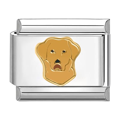 Quiges - Schakel - Bedel - 9mm - charms - Golden Retriever - Geschikt voor - armband - Schakelarmband - italy bedels armband