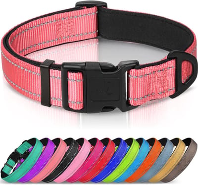 Reflecterende hondenhalsband, zachte neopreen gewatteerd, metalen D-ring, nylon halsband verstelbaar voor extra grote honden, neonroze, XS