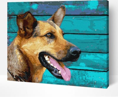 Schilderen Op Nummer Volwassenen DIY Paint By Number Compleet Hobby Pakket op Frame met Vernis - ®Arty Bee - Trotse Herder 50x40cm