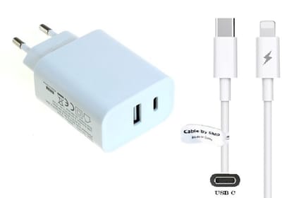 OneOne 20W Lader met USB A en C poort + 1,2m OneOne USB A naar Lightning kabel. USB C voor snelladen. Oplader adapter past op Apple iPhone 12 Pro Max, iPhone 13, iPhone 13 Mini, iPhone 13 Pro, iPhone 13 Pro Max, iPhone 14, Pro, 14 Pro Max