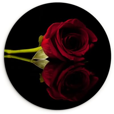 WallCircle® Wandcirkel 60x60 cm - Muurcirkel Rozen - Zwart - Rood - Muurdecoratie woonkamer - Wanddecoratie slaapkamer - Kamer decoratie accessoires - Ronde schilderijen