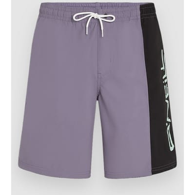 O'Neill Retro 19" Boardshorts patroon