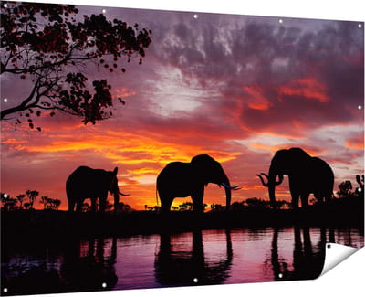 Gards Tuinposter Olifanten tijdens Zonsondergang - Silhouet - 180x120 cm - Tuindoek - Tuindecoratie - Wanddecoratie buiten - Tuinschilderij