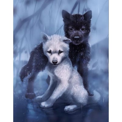 Volledige ronde boor diamant schilderij 5D diamant borduurwerk mozaïek huisdecoratie cadeau 20X30CM black