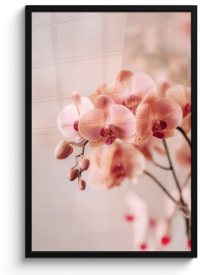 Poster in lijst - Fotolijst 60x90 cm - Posters - Orchidee - Bloemen - Roze - Bloemblaadjes - Posterlijst zwart - Decoratie - Wanddecoratie woonkamer - Muurdecoratie slaapkamer