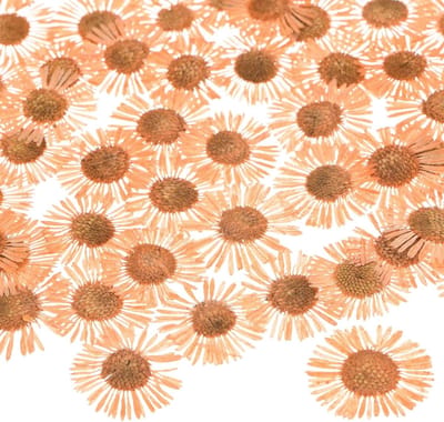 12 Stuks Gedroogde Natuurlijke Resin Bloemen voor Creatieve Projecten, Soap, Scrapbooking en Kaarsen