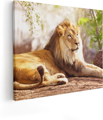 Artaza Canvas Schilderij Leeuw - 100x80 cm - Groot - Wanddecoratie Dieren - Muurdecoratie Woonkamer - Schilderijen Op Canvas