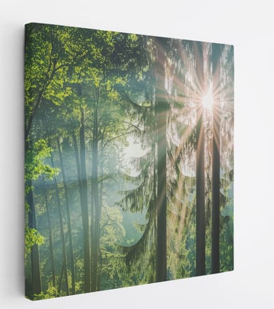 Saammp Canvas Schilderij - Zon tussen de bomen - Bos - Landschap - Natuur - 20x20 - Foto op canvas - Wanddecoratie - Muurdecoratie Woonkamer - Slaapkamer decoratie - Canvas Print