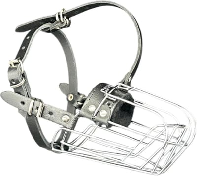 Hondenmuilkorf - Mondbeschermer Hond - Veilig Uitlaten - Sterke Metalen Mand - Maat J2 - Zwart