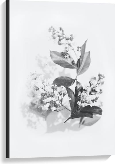 Canvas  - Zwart Wit Foto van bloemen  - 60x90cm Foto op Canvas Schilderij (Wanddecoratie op Canvas)
