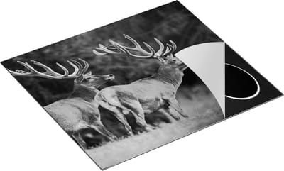 Chefcare Inductie Beschermer Twee Herten in het Bos met Grote Gewei - Zwart Wit - 60x50 cm - Afdekplaat Inductie - Kookplaat Beschermer - Inductie Mat