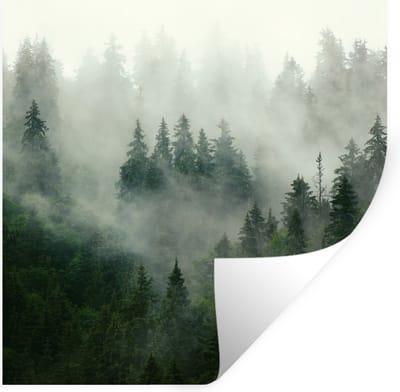 Muurstickers - Sticker Folie - Bos - Mist - Bomen - Natuur - 100x100 cm - Plakfolie - Muurstickers Kinderkamer - Zelfklevend Behang XXL - Zelfklevend behangpapier - Stickerfolie
