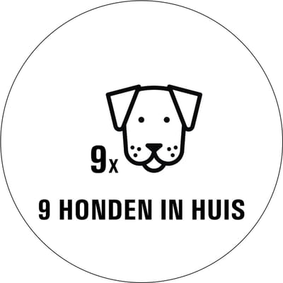 Honden in huis sticker - 80 x 80 mm 9