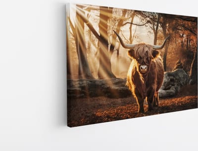 Saammp Canvas Schilderij - Schotse Hooglander Koe in een bos met zonsondergang - Dieren - Natuur - 45x30 - Foto op canvas - Wanddecoratie - muurdecoratie Woonkamer - Slaapkamer decoratie - Canvas Print